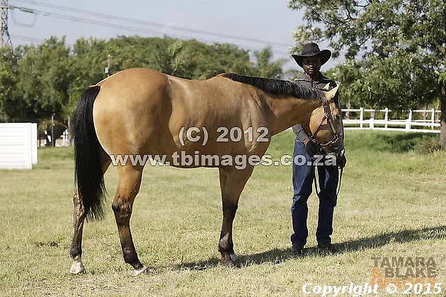 Caseys Dream Whispering Crystal